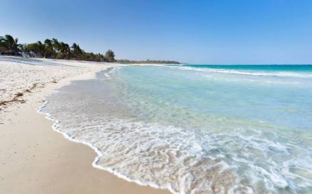 How Xhale Travel is redefining the 'Seamless' Journey