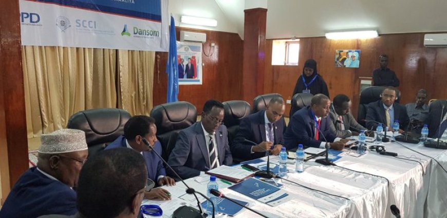 How Business and Government Shape Policy in Africa